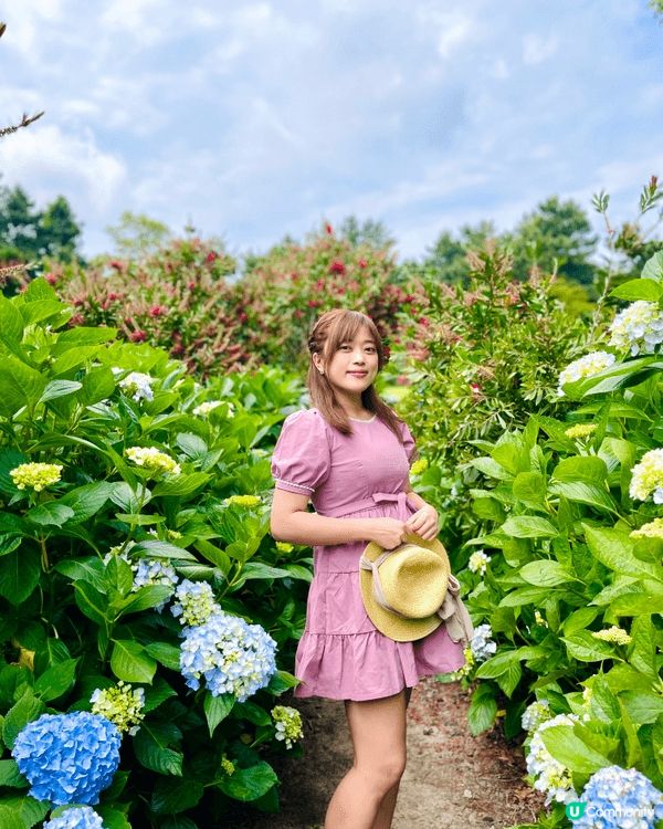 Hyunaewon就位於Easterly Garden Ca...