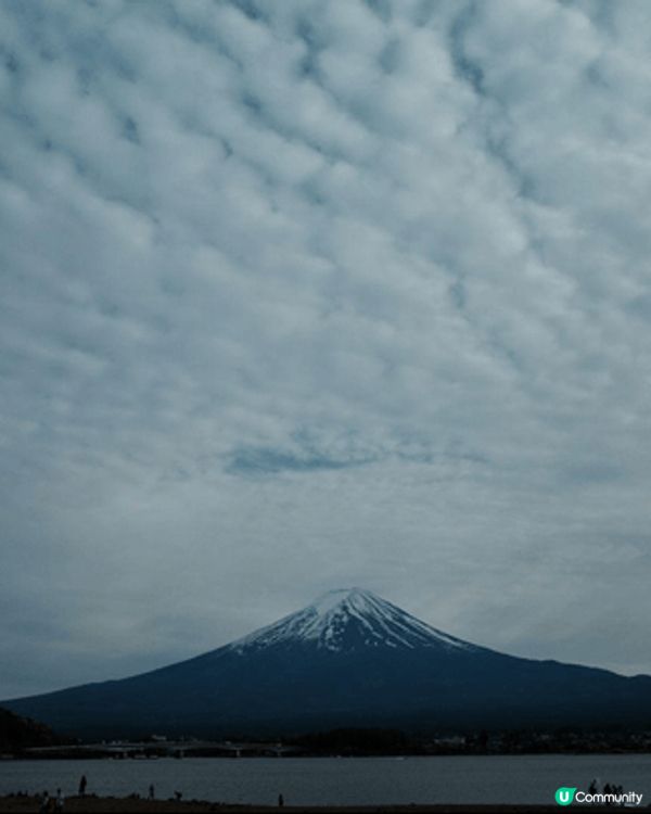 到日本旅遊，能同時見到樱花的美態及富士山的景色，夫復何求！