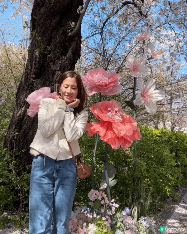 這是韓國的汝矣島，那裡的花藝很漂亮，我很喜歡花的，所以拍了幾...