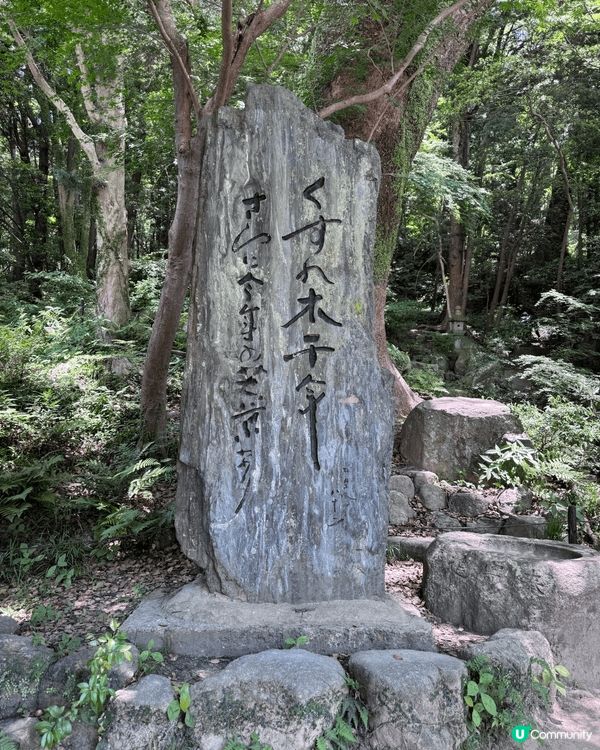 這是剛剛在四月份在福岡拍攝的相片，天氣10分好。影出來的花特...