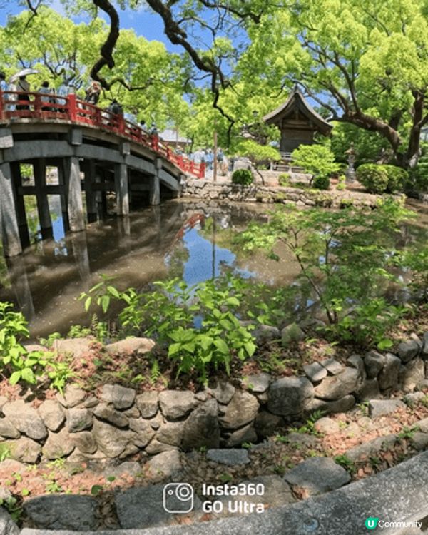 這是剛剛在四月份在福岡拍攝的相片，天氣10分好。影出來的花特...