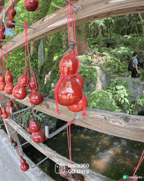 這是剛剛在四月份在福岡拍攝的相片，天氣10分好。影出來的花特...