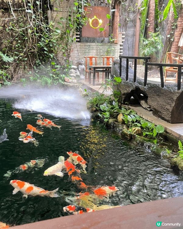 南山花卉小鎮，好靚呀～ 係coffee shop入面，休閑人...