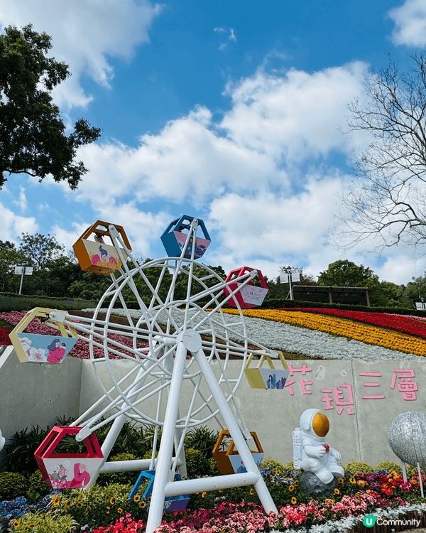 一次台北旅遊中發現有花現三層崎，花海田園超級美麗，吸引了不少...
