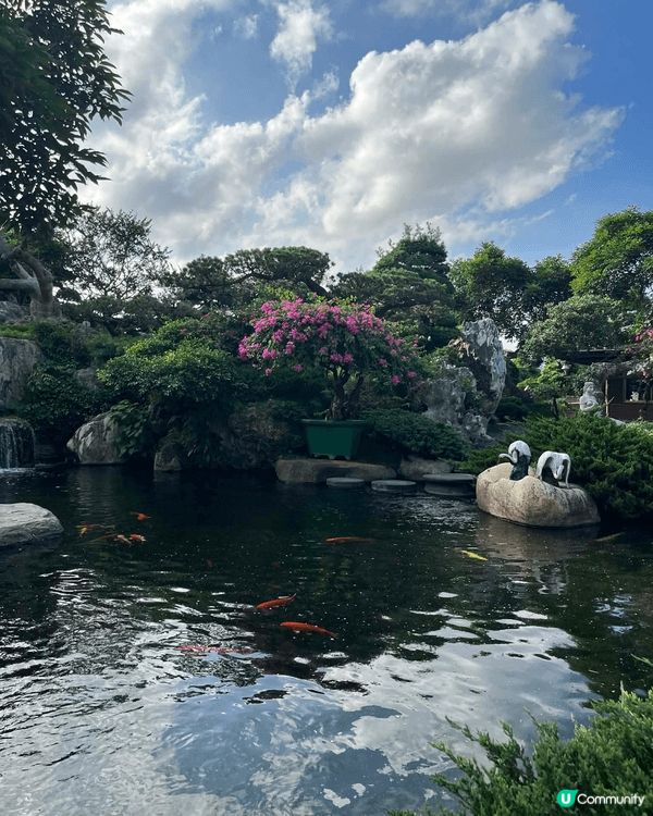 順德東信園林盡顯嶺南風情。園內青磚綠瓦、雕樑畫棟，盡顯古色古...