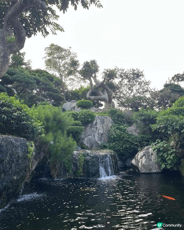 順德東信園林盡顯嶺南風情。園內青磚綠瓦、雕樑畫棟，盡顯古色古...
