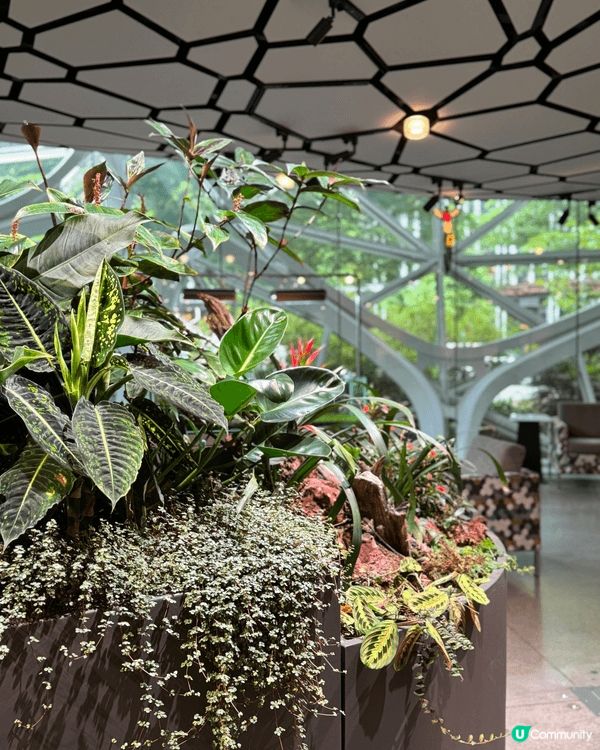 西雅圖必去打卡景點-Amazon Spheres