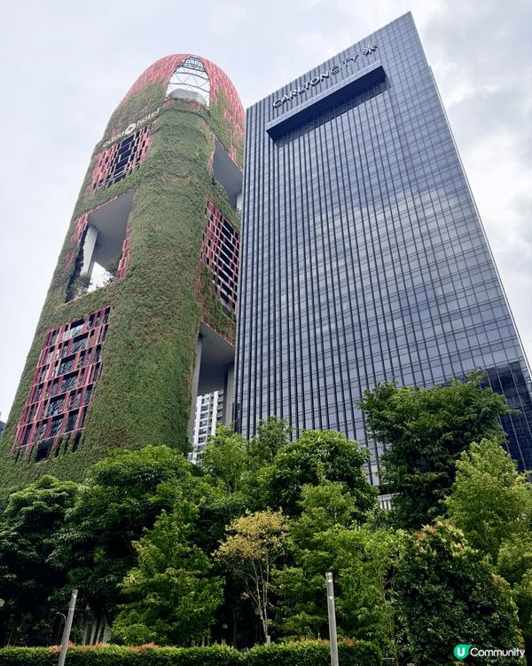 我在新加坡拍攝的圖片，展現了「花園城市」中綠意與日常生活的無...