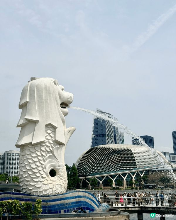 我在新加坡拍攝的圖片，展現了「花園城市」中綠意與日常生活的無...