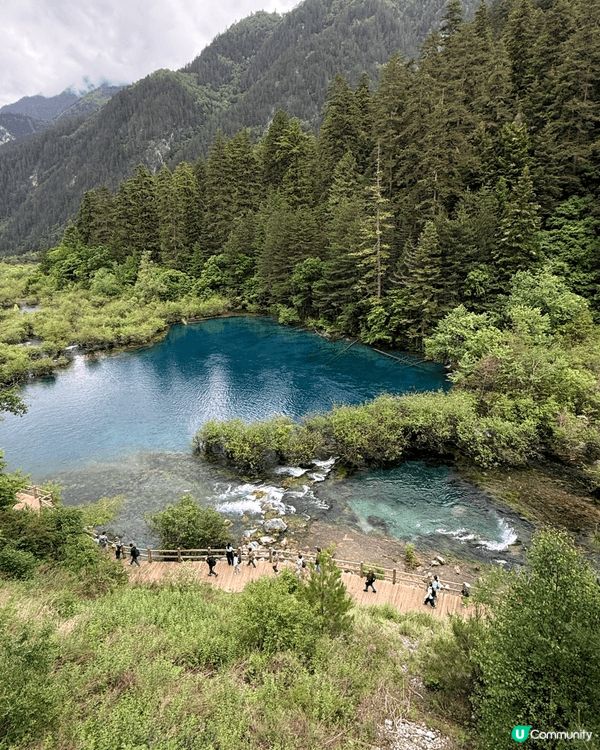 成都九寨溝，風景美如畫，人間仙境，一生人值得去一次，熊貓更讓...