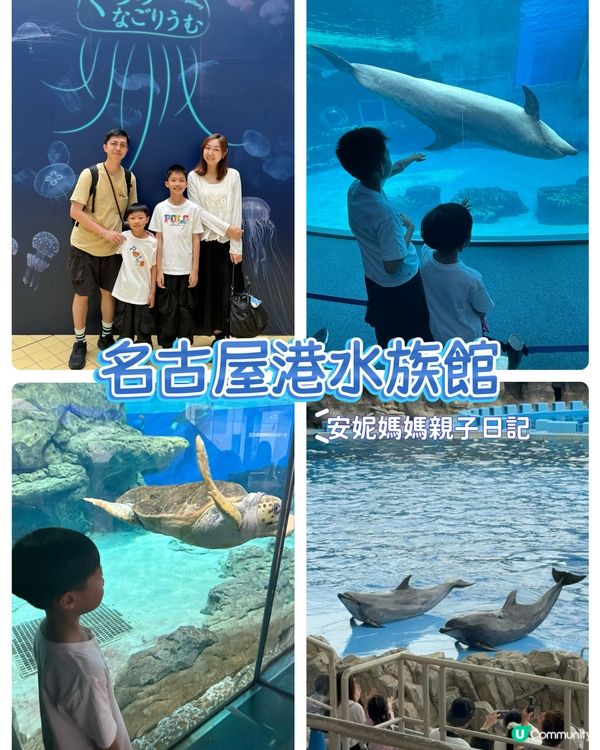 【 感受海洋世界的萬千變化 】 