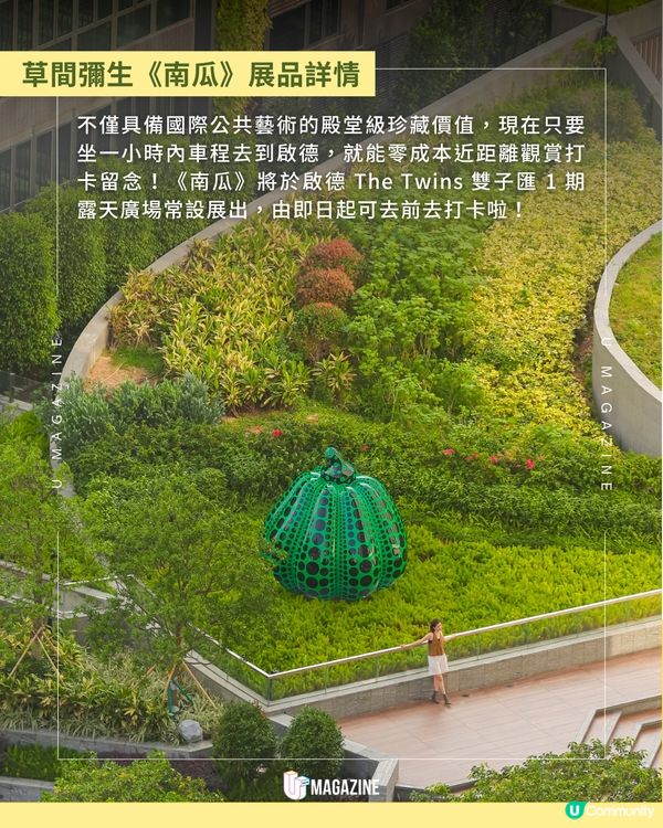 草間彌生綠色《南瓜》驚喜登陸啟德😱💚