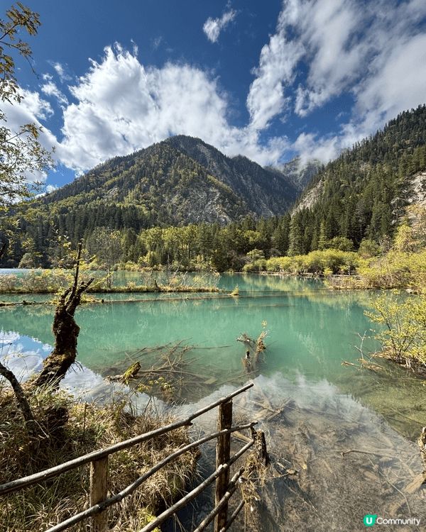 🏔️ 九寨溝慢活之旅！晴天慢步「珍珠灘瀑布 ＆ 五花海」絕美...
