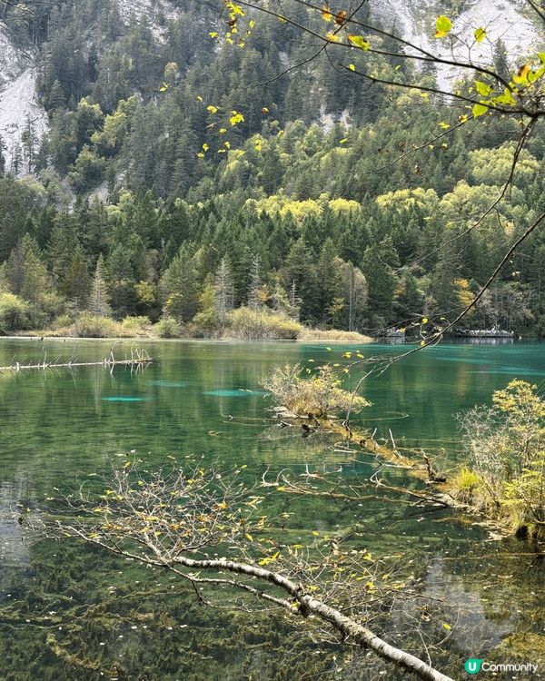 🏔️ 九寨溝慢活之旅！晴天慢步「珍珠灘瀑布 ＆ 五花海」絕美...