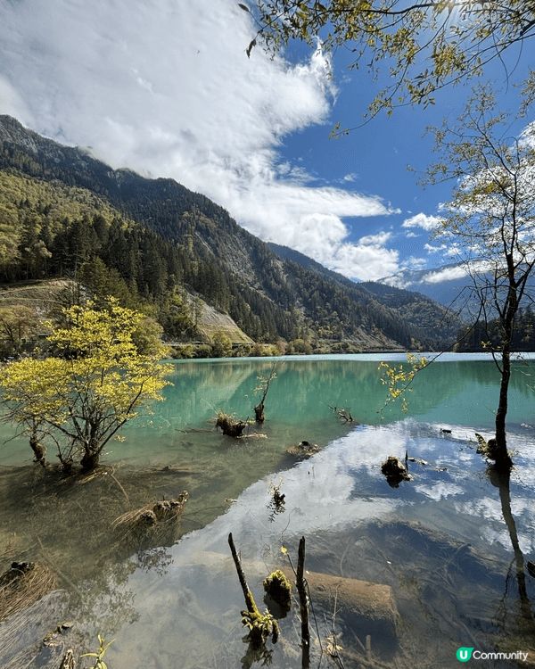 🏔️ 九寨溝慢活之旅！晴天慢步「珍珠灘瀑布 ＆ 五花海」絕美...