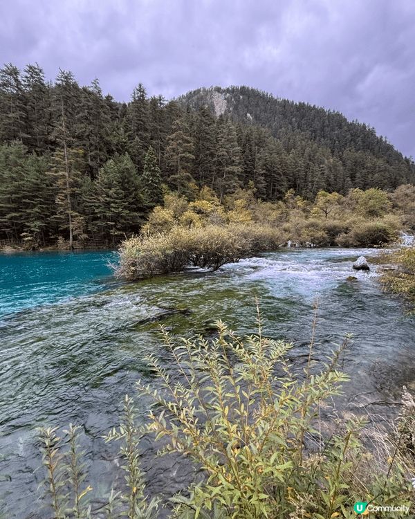 🏔️ 九寨溝慢活之旅！晴天慢步「珍珠灘瀑布 ＆ 五花海」絕美...
