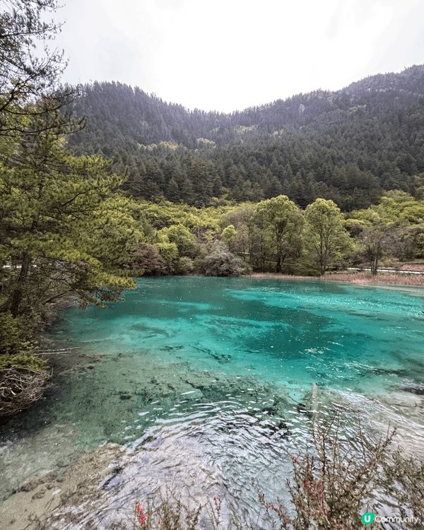 🏔️ 九寨溝慢活之旅！晴天慢步「珍珠灘瀑布 ＆ 五花海」絕美...