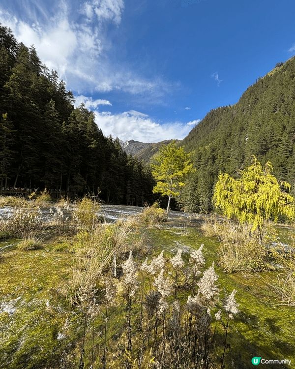 🏔️ 九寨溝慢活之旅！晴天慢步「珍珠灘瀑布 ＆ 五花海」絕美...