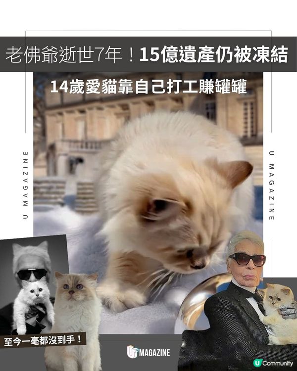 老佛爺逝世7年！15億遺產仍被凍結｜ 14歲愛貓靠自己打工賺罐罐                                                    