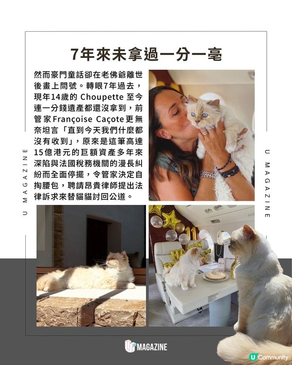 老佛爺逝世7年！15億遺產仍被凍結｜ 14歲愛貓靠自己打工賺罐罐                                                    