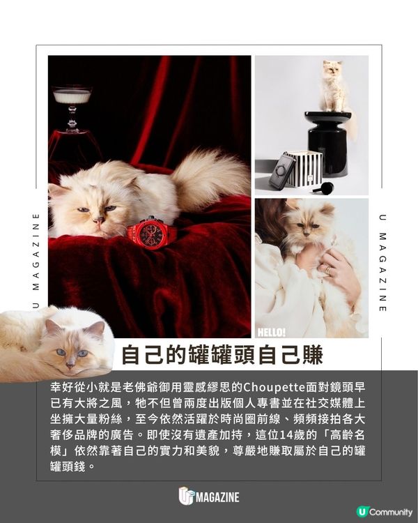 老佛爺逝世7年！15億遺產仍被凍結｜ 14歲愛貓靠自己打工賺罐罐                                                    