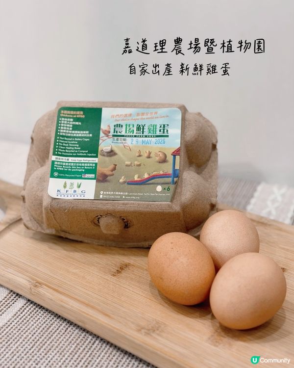 暑假去邊好？嘉道理農場生態營，親子學嘢又有樂！ 🐒🌿