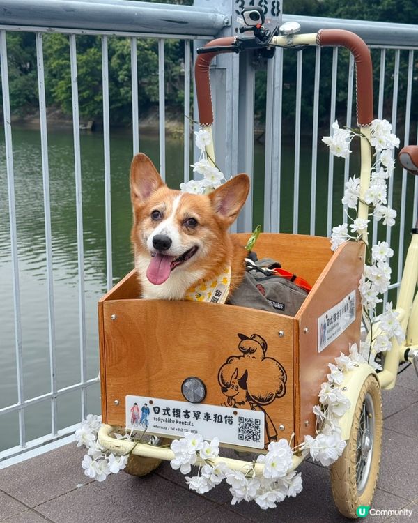 圍方 x PAW PAW單車同遊🐾 