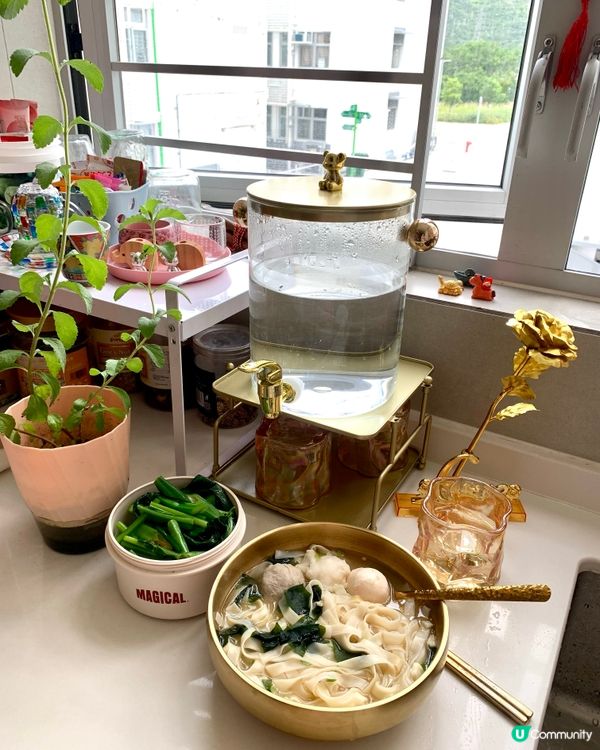 今天真開心🥳