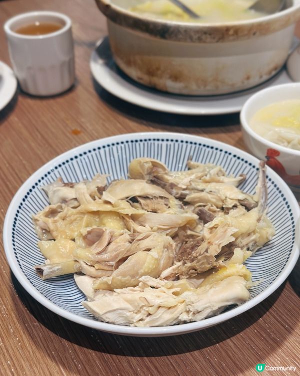 雲吞雞煲超好食！