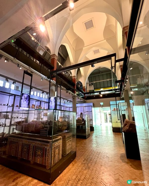 『英國』🏛️曼徹斯特博物館｜必睇恐龍化石與瀕危青蛙🦖🐸🦎