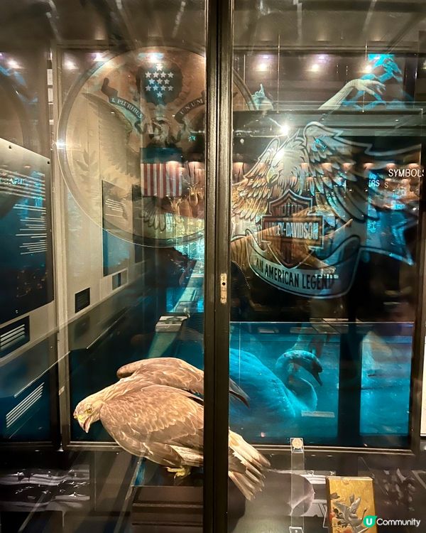 『英國』🏛️曼徹斯特博物館｜必睇恐龍化石與瀕危青蛙🦖🐸🦎