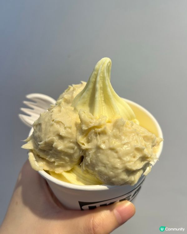又到榴槤既季節~