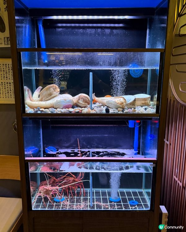 慶祝約會の首選‼️超精緻畫碟日式居酒屋