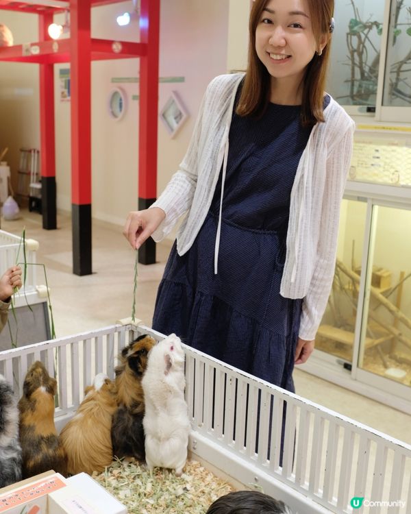 【 零距離親親可愛小動物 】