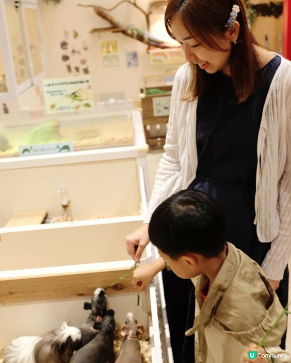 【 零距離親親可愛小動物 】