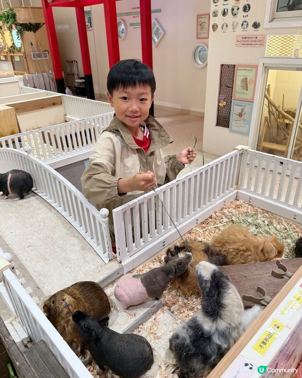 【 零距離親親可愛小動物 】