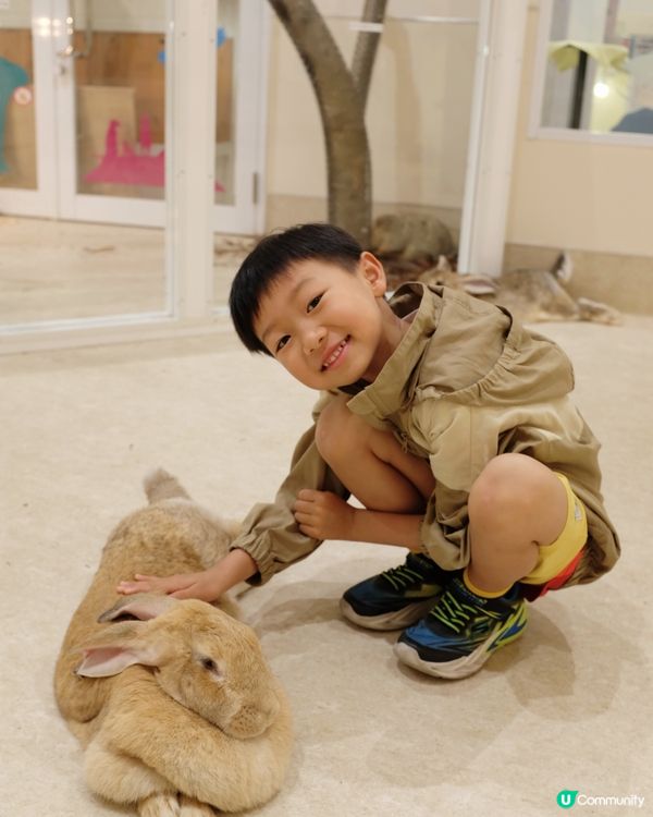 【 零距離親親可愛小動物 】