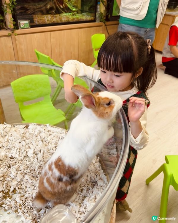 暑期興趣班