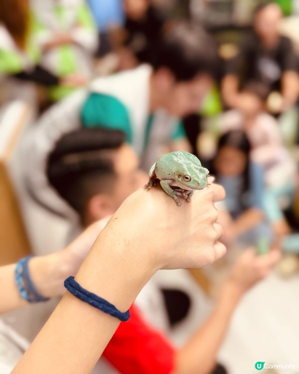 暑期興趣班