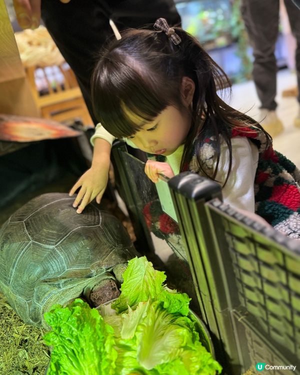 暑期興趣班