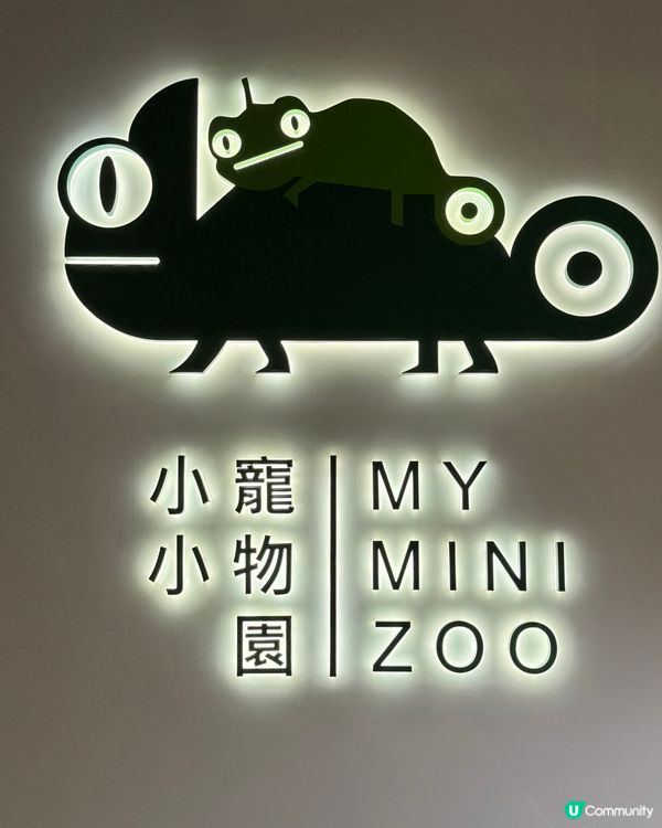 暑期興趣班