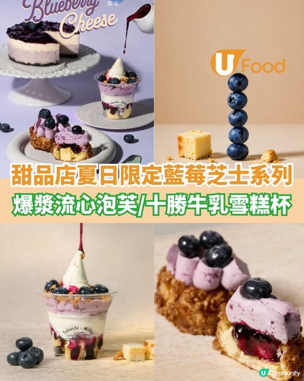甜品店限定藍莓芝士系列 爆漿流心泡芙/十勝牛乳雪糕杯                                                    