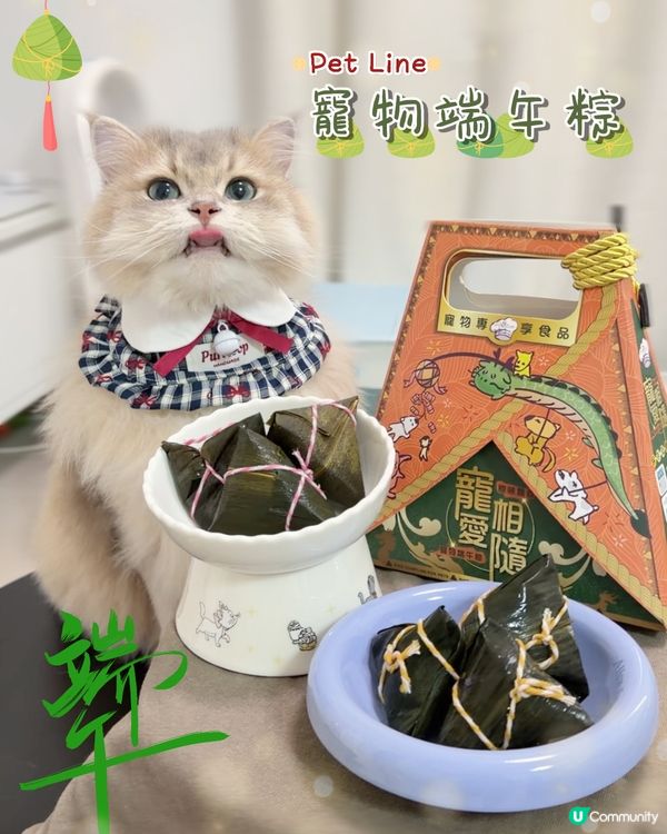 🎏 主子專屬嘅端午節應節糭 🐾