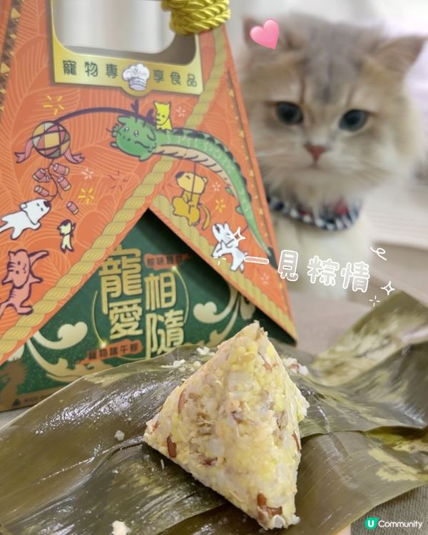 🎏 主子專屬嘅端午節應節糭 🐾