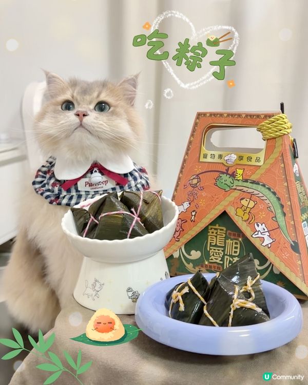 🎏 主子專屬嘅端午節應節糭 🐾