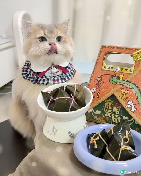 🎏 主子專屬嘅端午節應節糭 🐾
