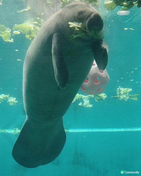 水族館驚喜連連，酒店冷氣有伏？🥵