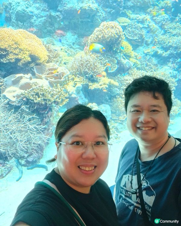 水族館驚喜連連，酒店冷氣有伏？🥵