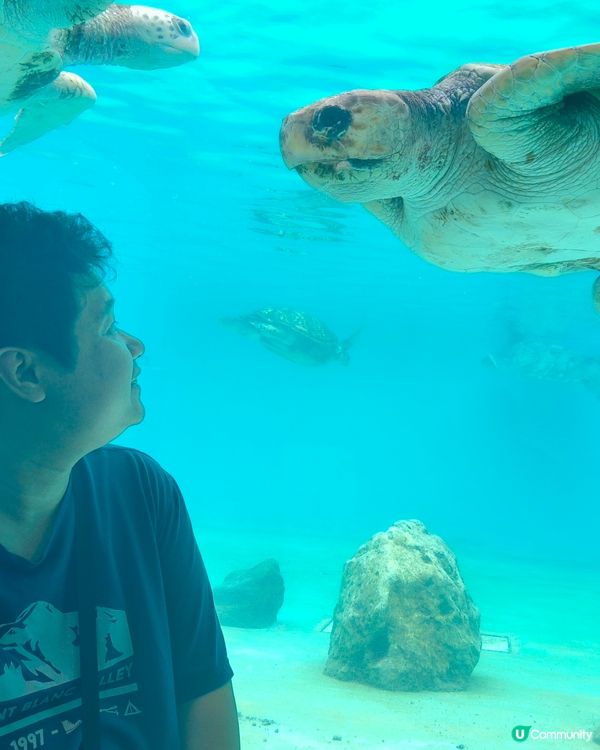 水族館驚喜連連，酒店冷氣有伏？🥵