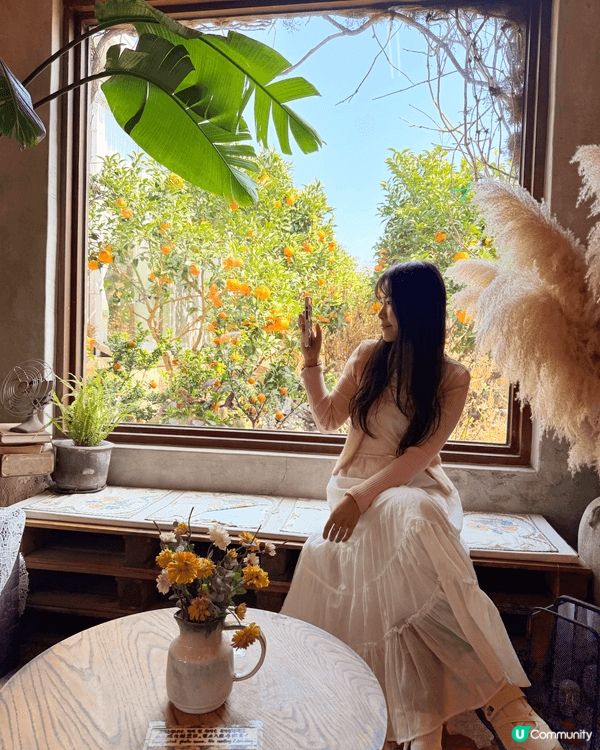 濟州島人氣Cafe Gyulkkotdarak 🍊